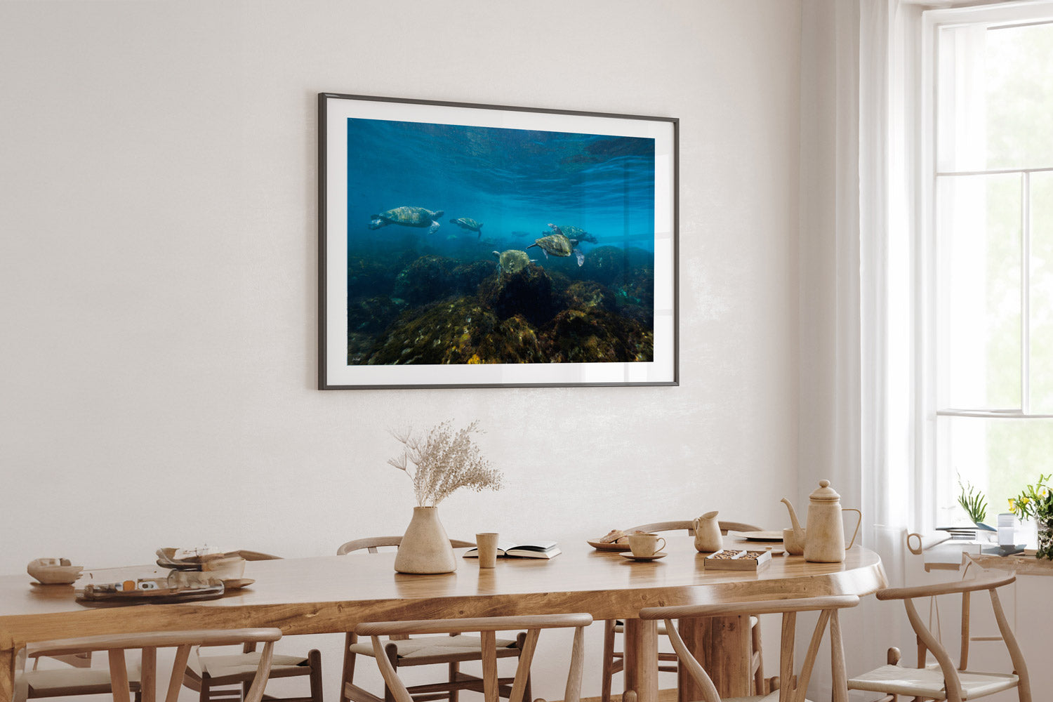 Turtle Traffic | Wildlife Collection