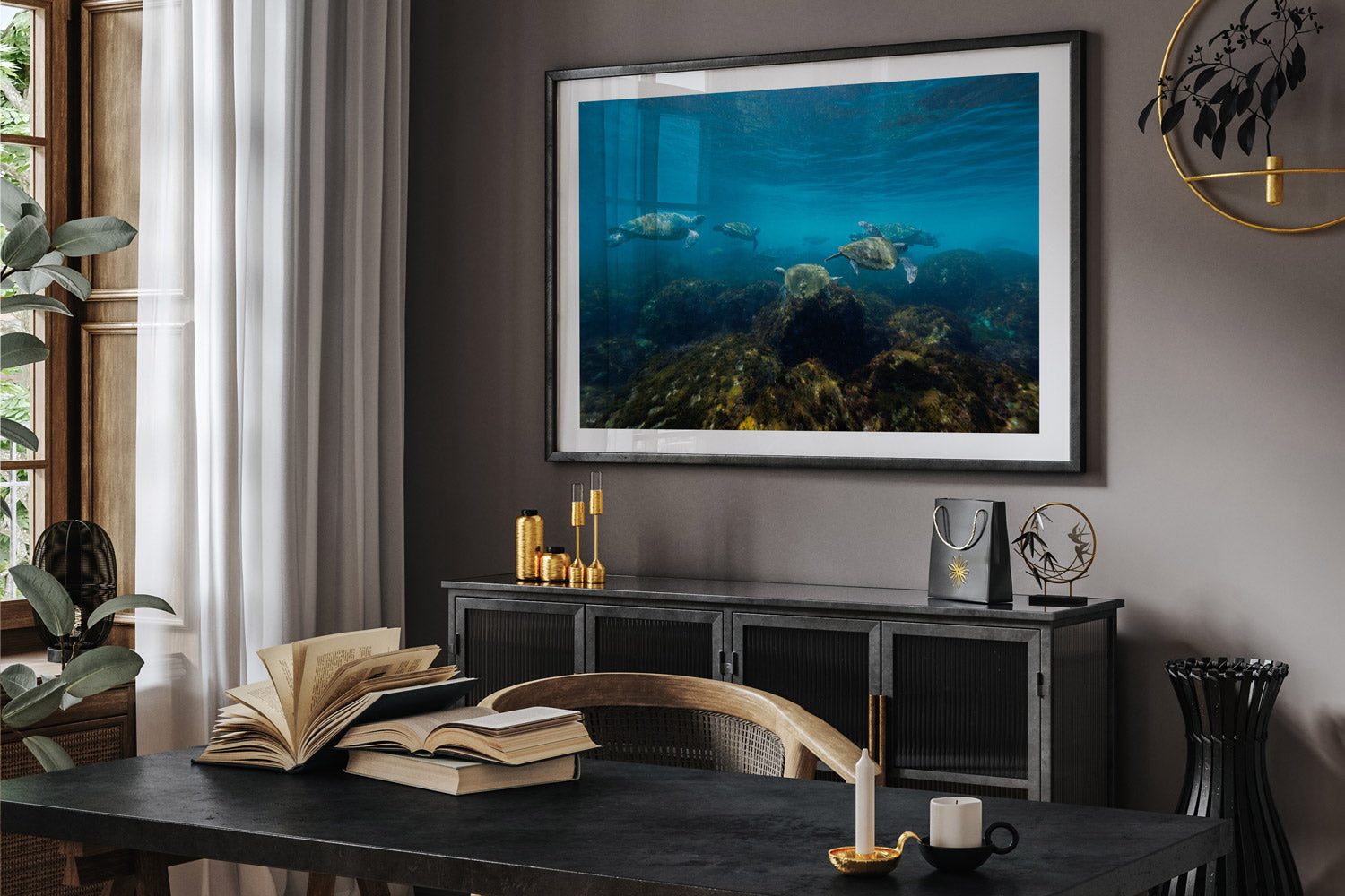 Turtle Traffic | Wildlife Collection