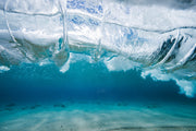 Vitality | Ocean Art Collection
