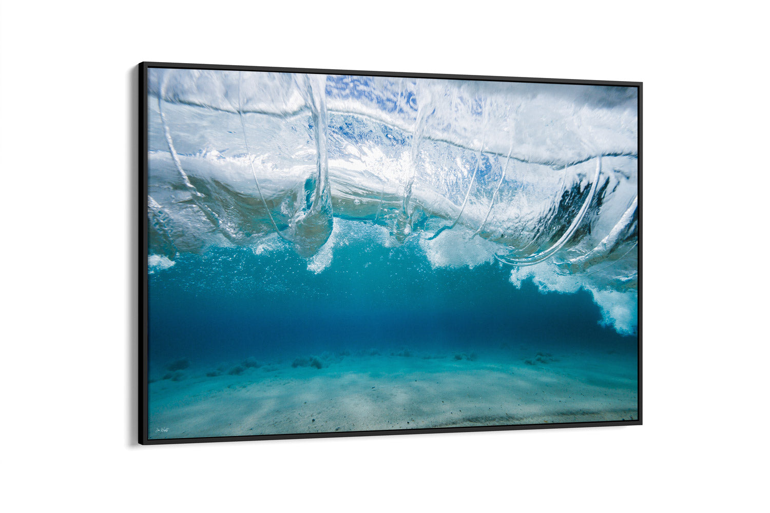 Vitality | Ocean Art Collection