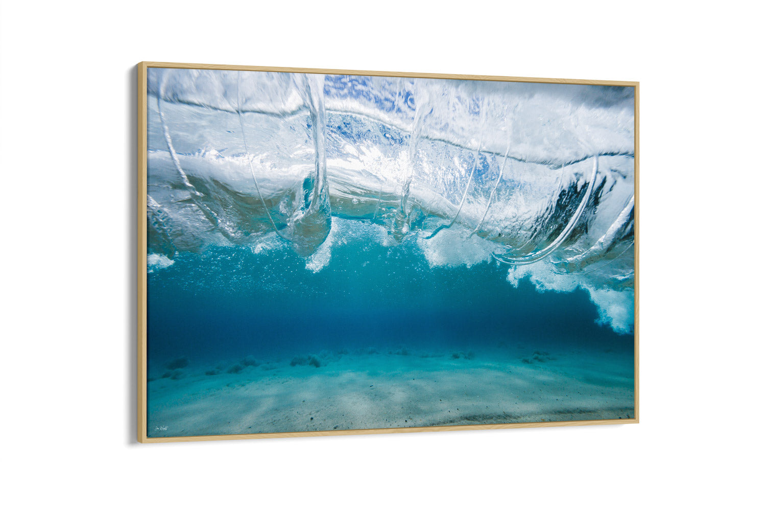 Vitality | Ocean Art Collection