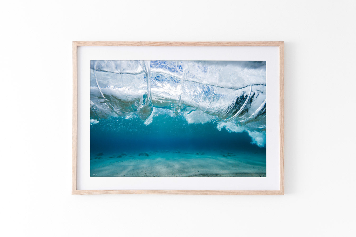 Vitality | Ocean Art Collection