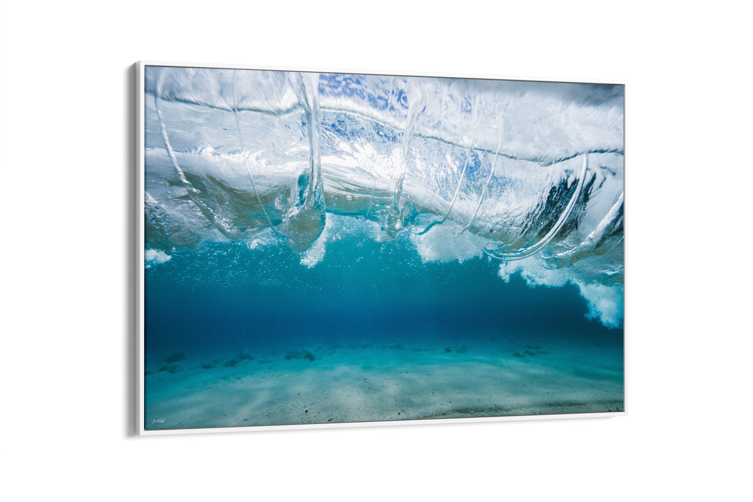 Vitality | Ocean Art Collection