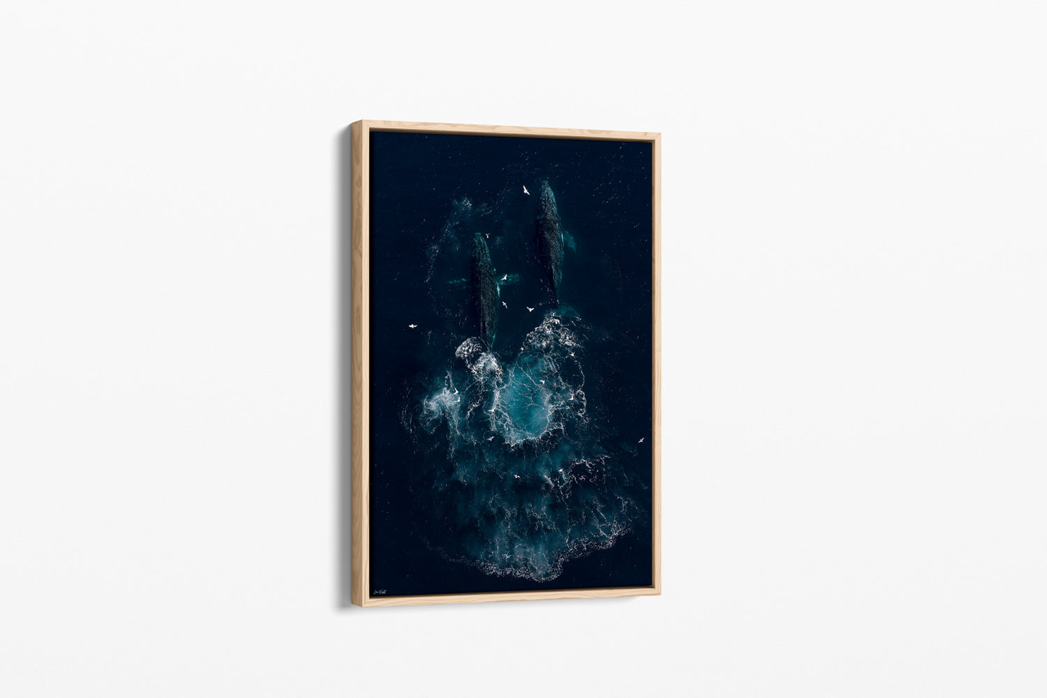 Whale Art | Wildlife Collection