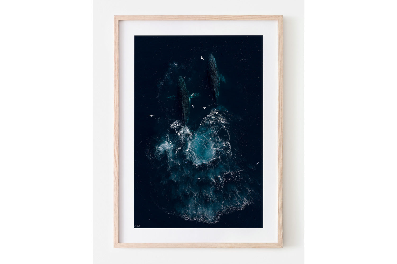 Whale Art | Wildlife Collection