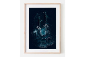 Whale Art | Wildlife Collection