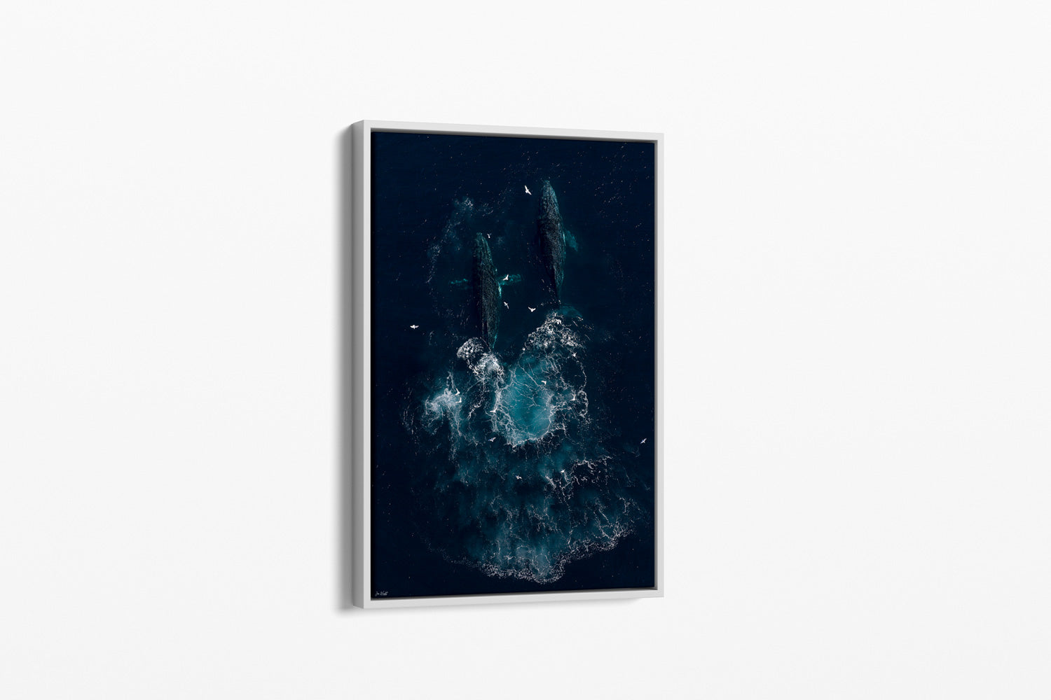 Whale Art | Wildlife Collection