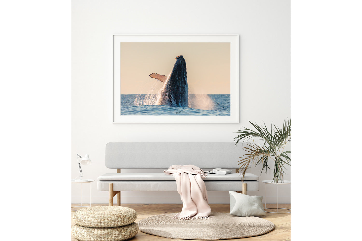 Whale Print whate Frame