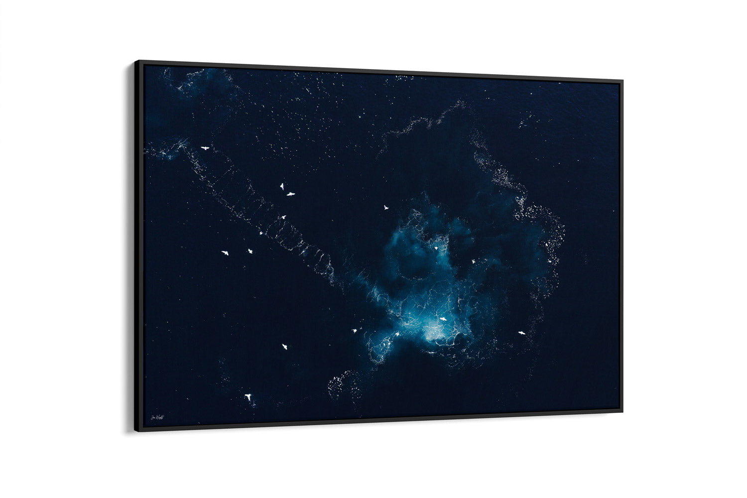 Whale Guitar | Wildlife Collection