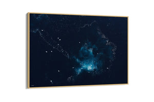 Whale Guitar | Wildlife Collection