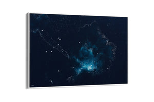 Whale Guitar | Wildlife Collection