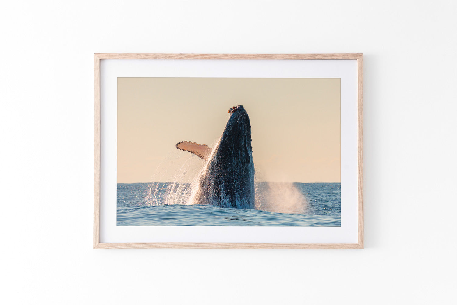 Whale Print Oak Frame