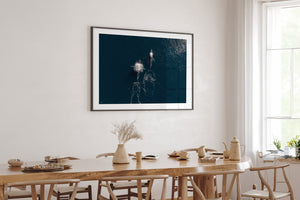 Whale Print 2 | Wildlife Collection