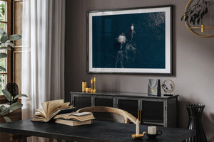 Whale Print 2 | Wildlife Collection