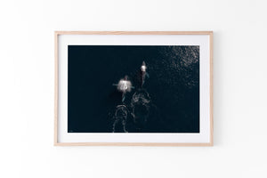 Whale Print 2 | Wildlife Collection