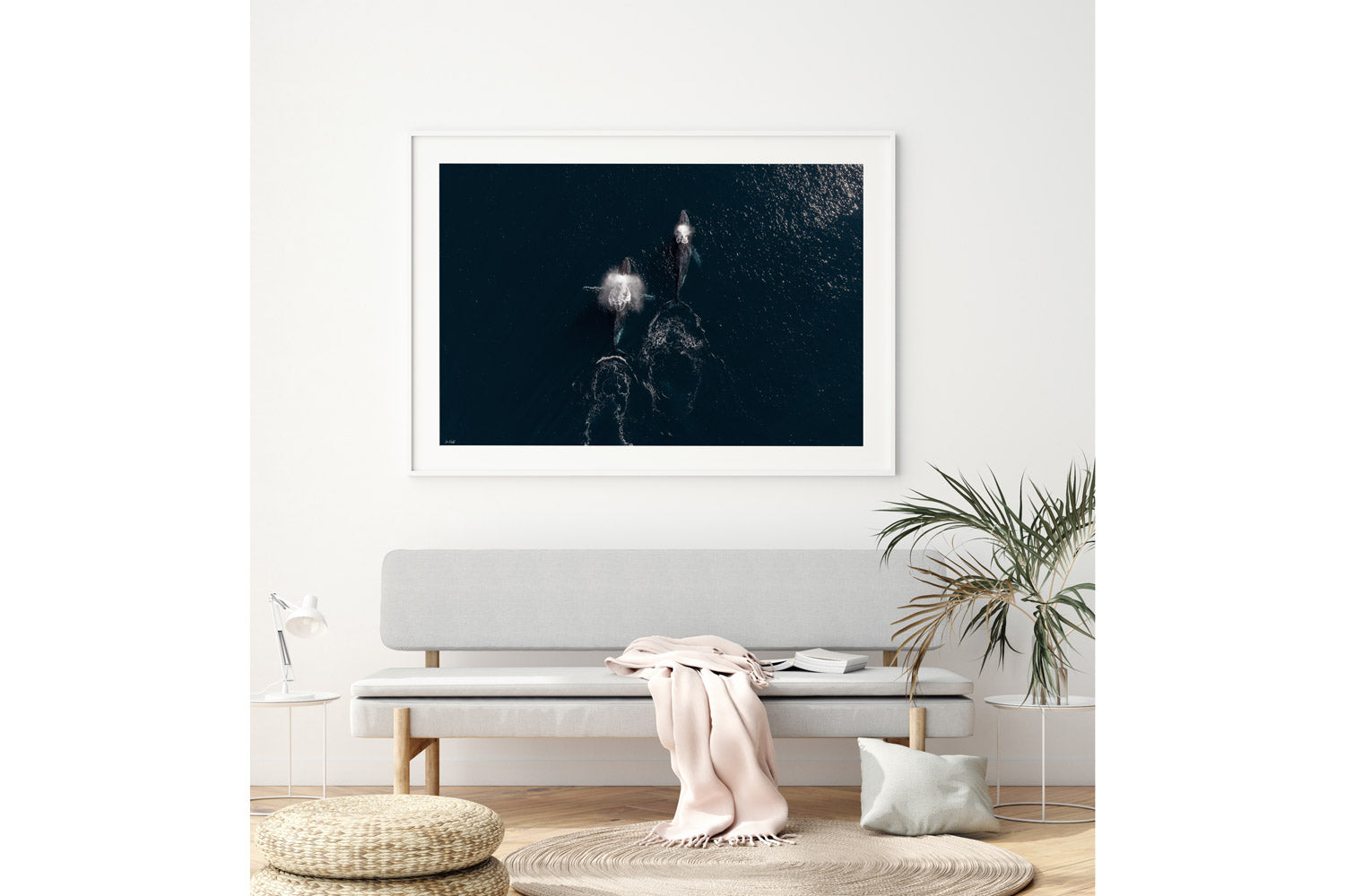 Whale Print 2 | Wildlife Collection