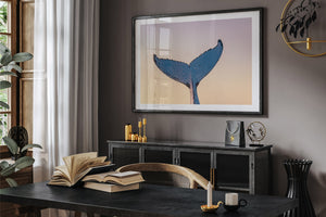 Whale Love - Gold Coast, Australia
