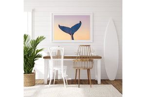 Whale Love - Gold Coast, Australia
