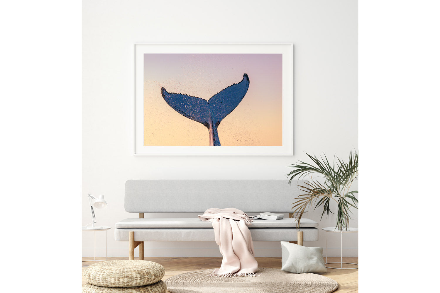 Whale Love - Gold Coast, Australia