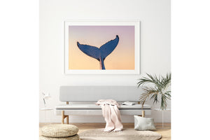 Whale Love - Gold Coast, Australia