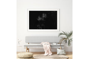 Migration | Wildlife Collection