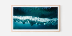 Underwater Turbulence PANO | OCEAN ART COLLECTION