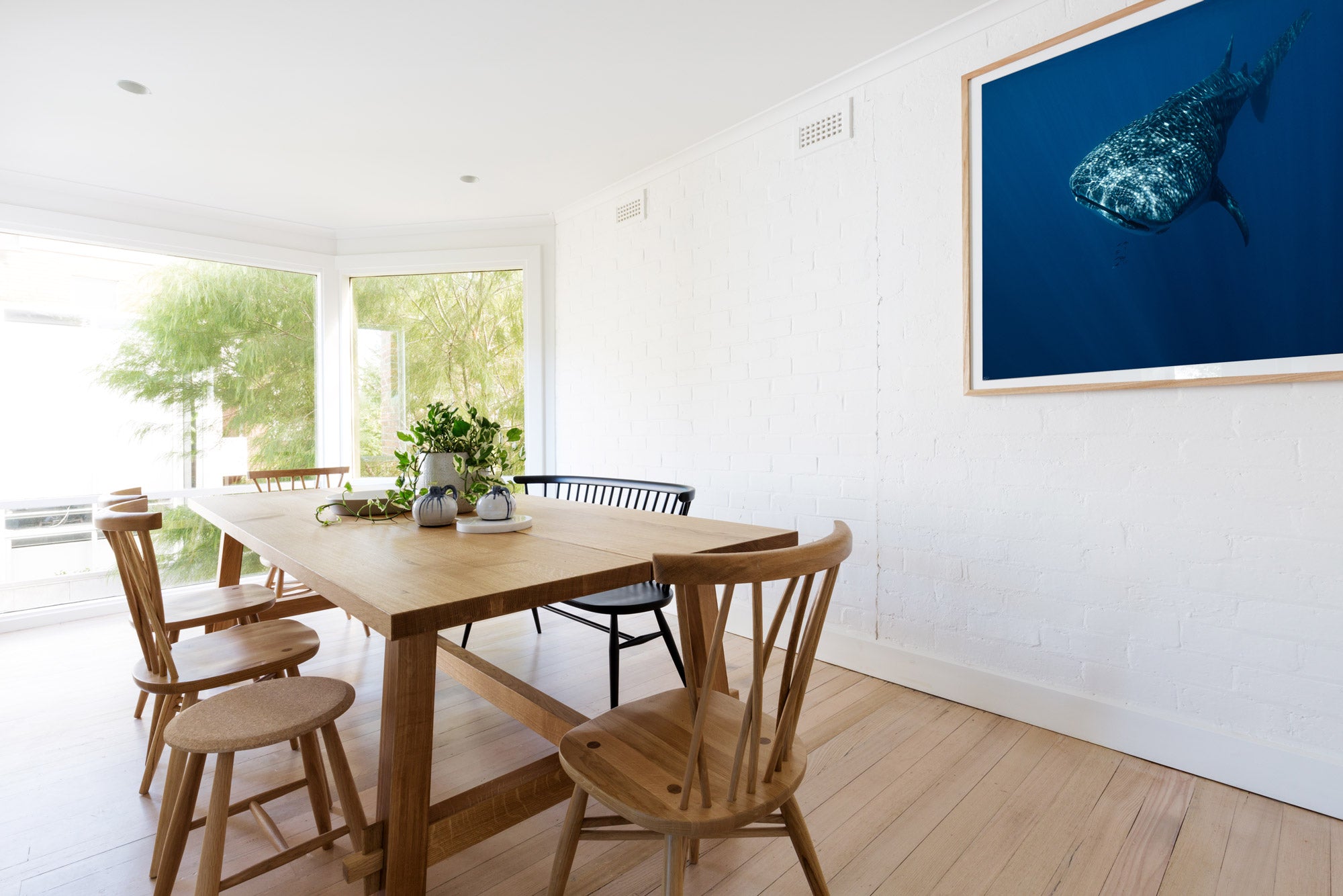 Many Stars - Ningaloo Reef, Western Australia