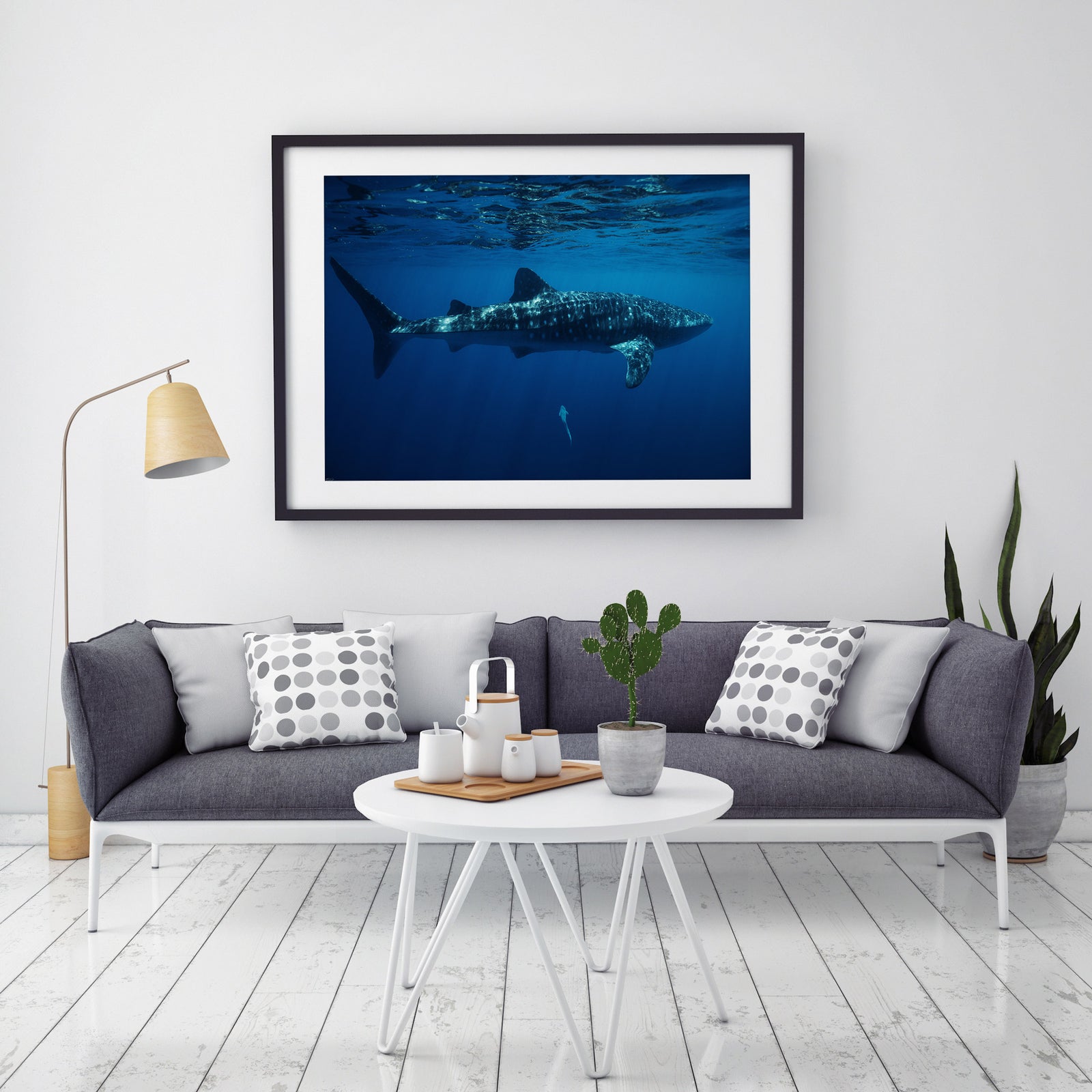 Symbiosis Whale Shark Print