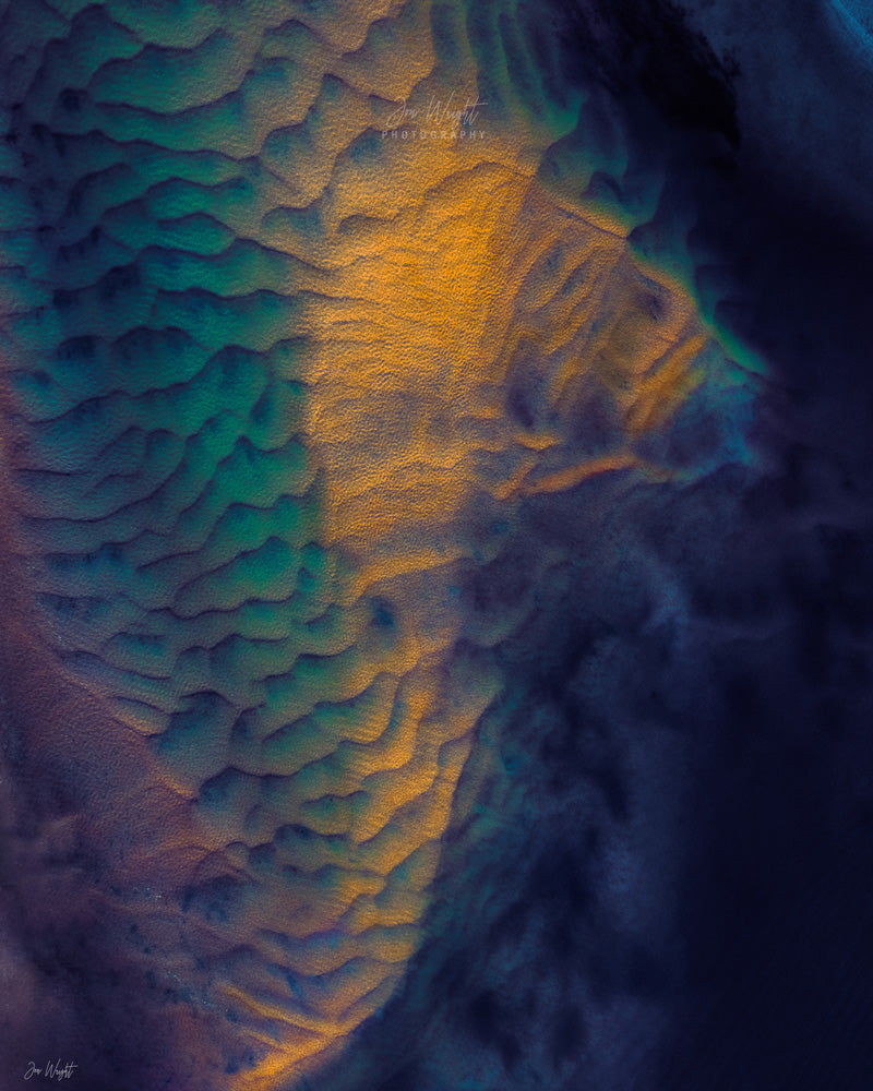 Seahorse Limited Edition Print