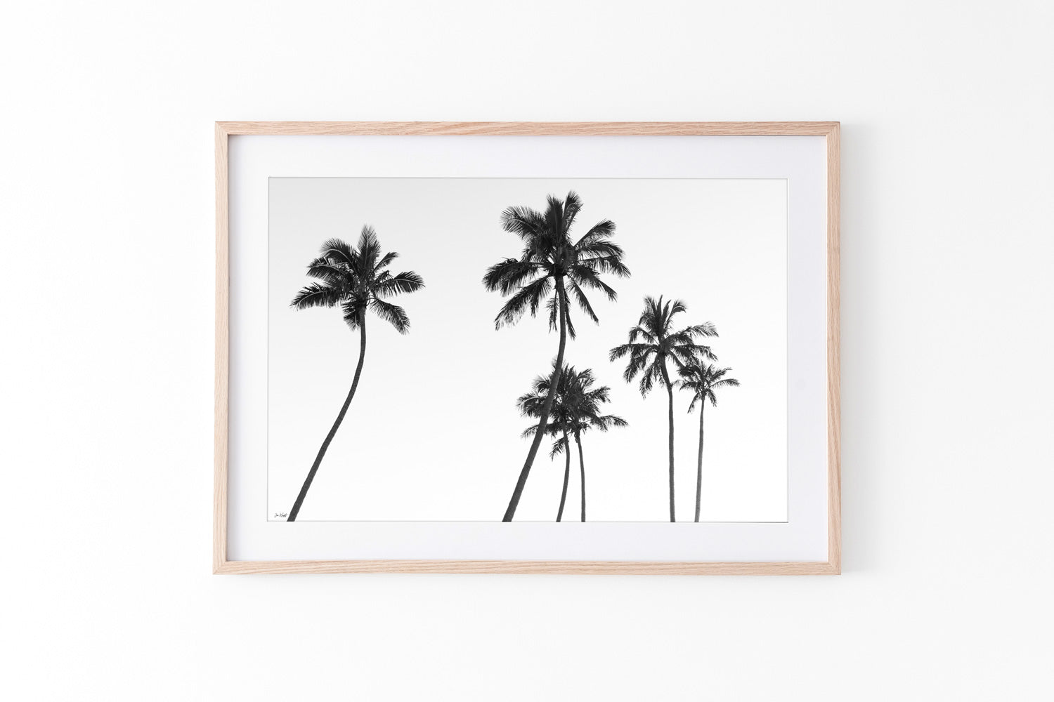 6 Palms | Life's A Beach Collection