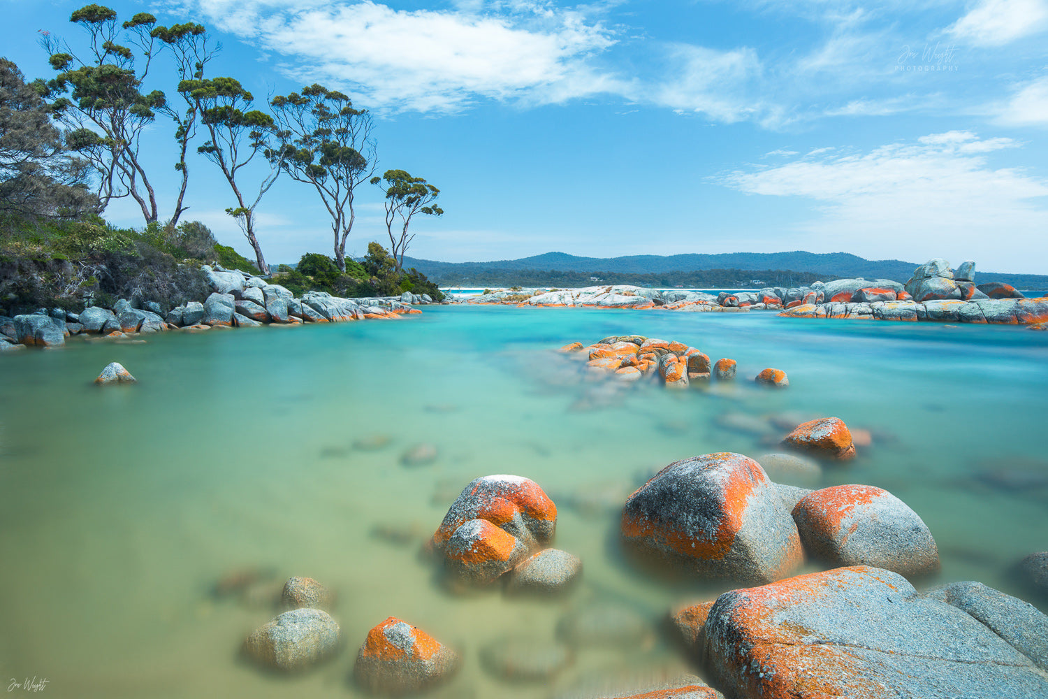 Binalong Bay Gum Tree Summers Day Landscape photography