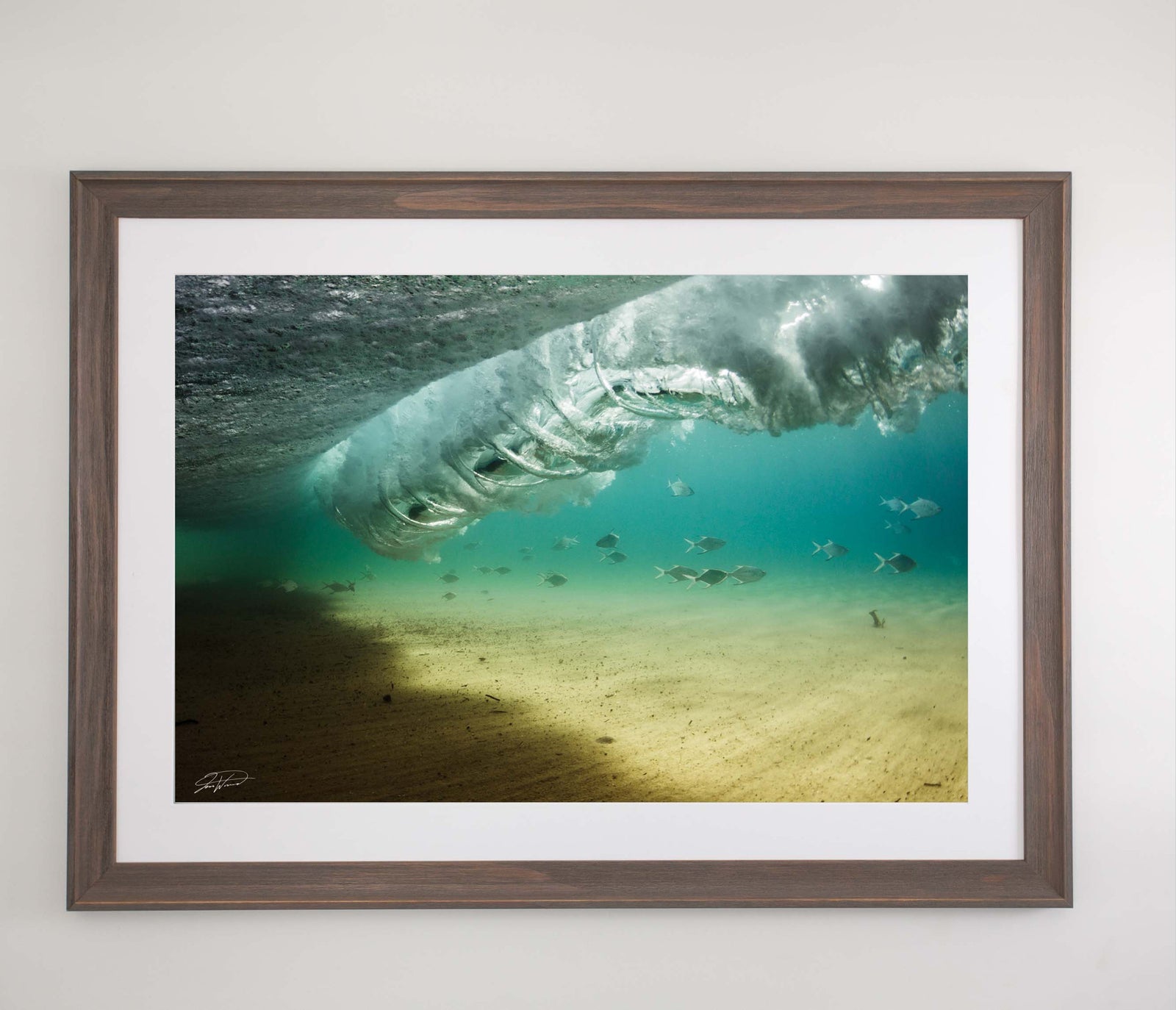 The Salt Kingdom - Gold Coast, QLD Australia