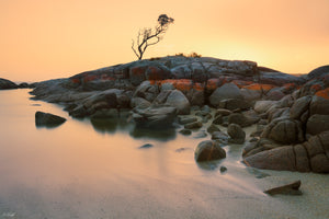 Binalong Bay Landscape Print