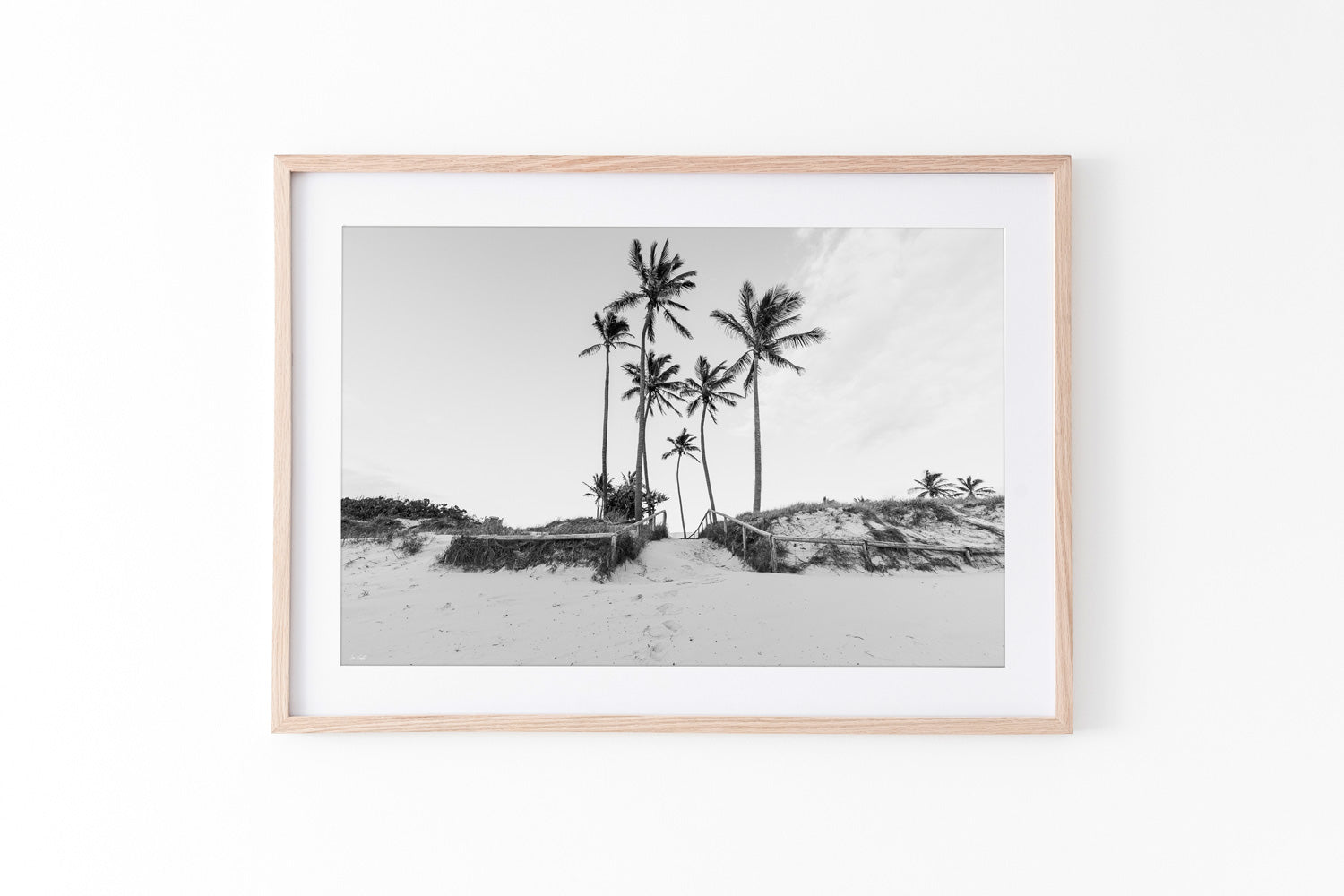 Black and white palm tree photo in oak frame