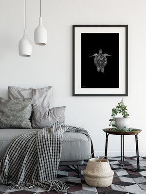 Black and White Wall art with classic black frame - Turtle
