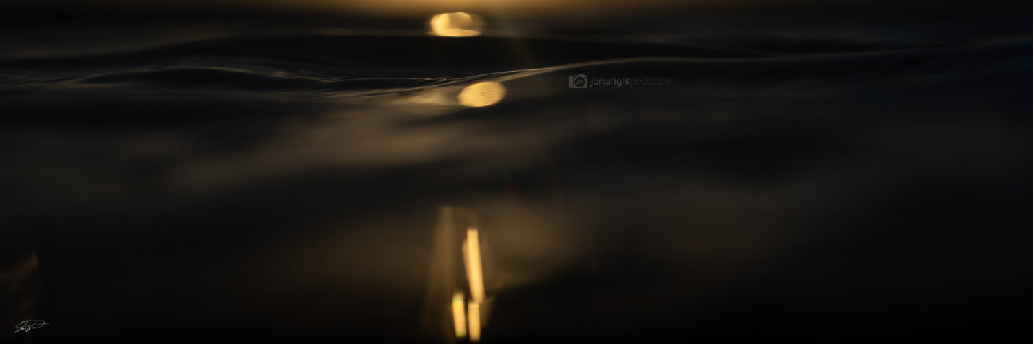 Black & Gold | Elements Collection