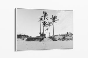 Black and white tropical palm tree canvas art