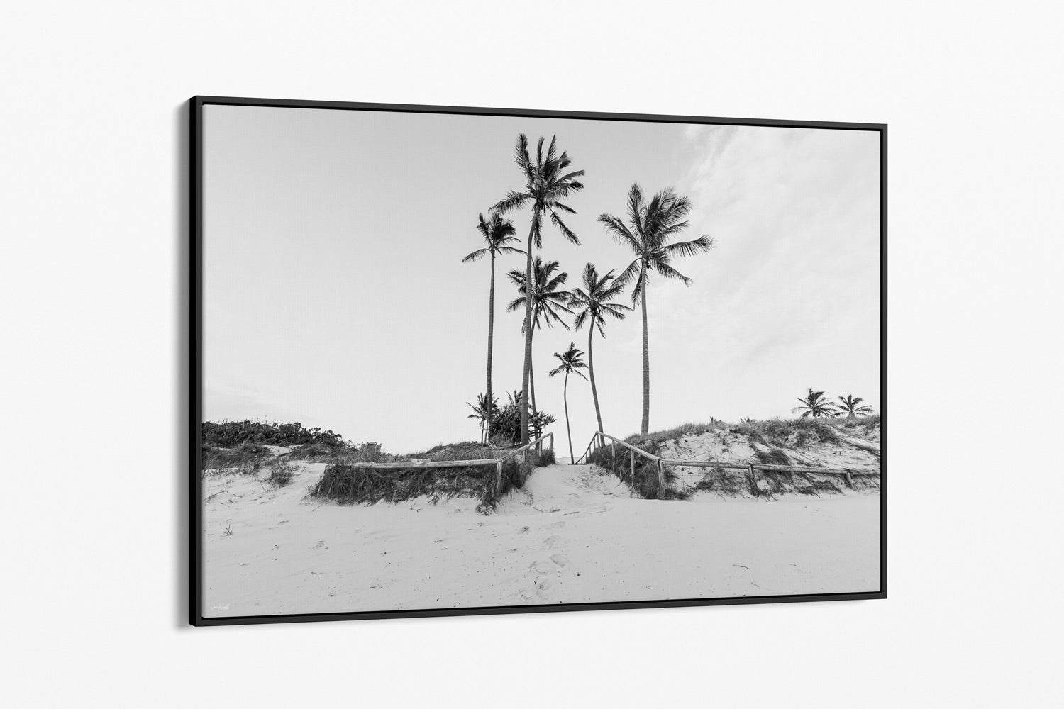 Black and white palm tree photo in oak frame