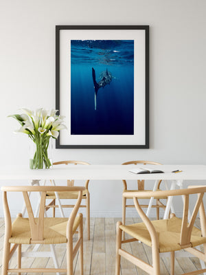 Framed Wall Art Print with Whale Shark