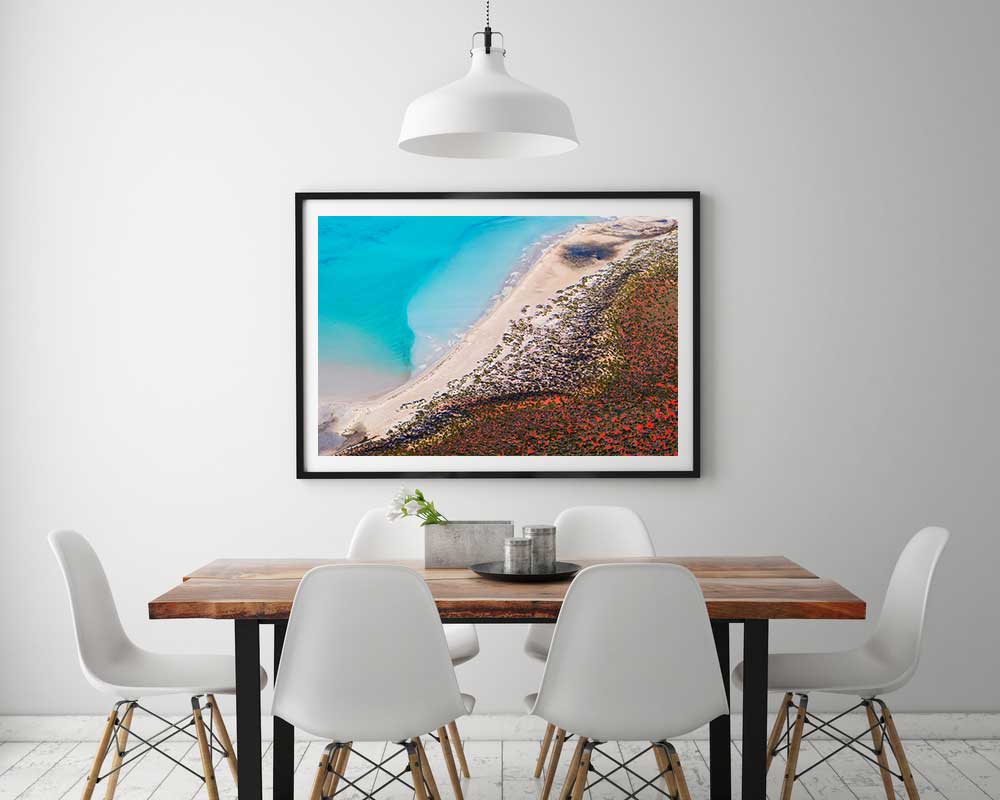 Blue Vs Red - Shark Bay. Western Australia