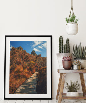 Autumn Walk - Cradle Mountain - Tasmania Australia