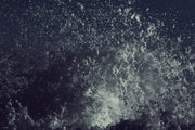 Dark & Light | White Wash Collection