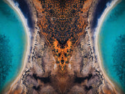 Klecksography | Rorschach Test