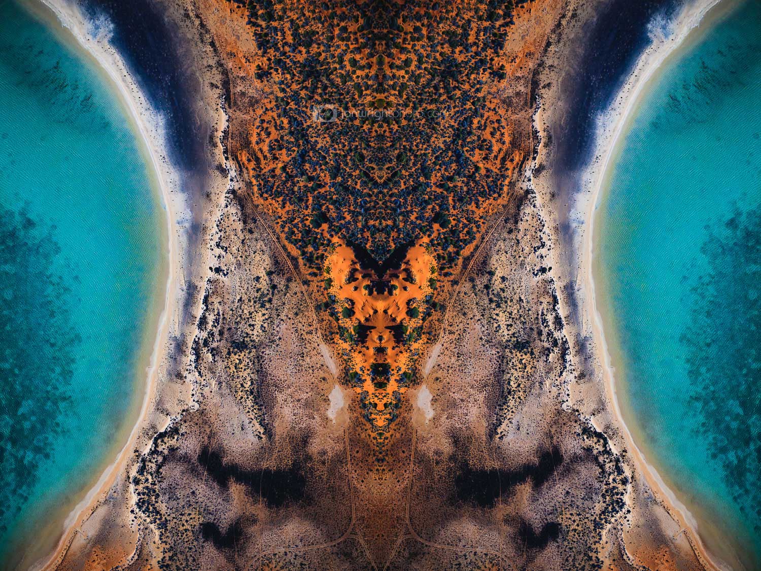 Klecksography | Rorschach Test