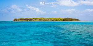 Lady Musgrave Island – Great Barrier reef, QLD Australia