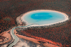 Blue Lagoon - Shark Bay, Western Australia