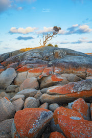 Light The Way - Binalong Bay - Tasmania Australia