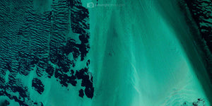 Birds eye view artwork of sea grass and beach in Western Australia