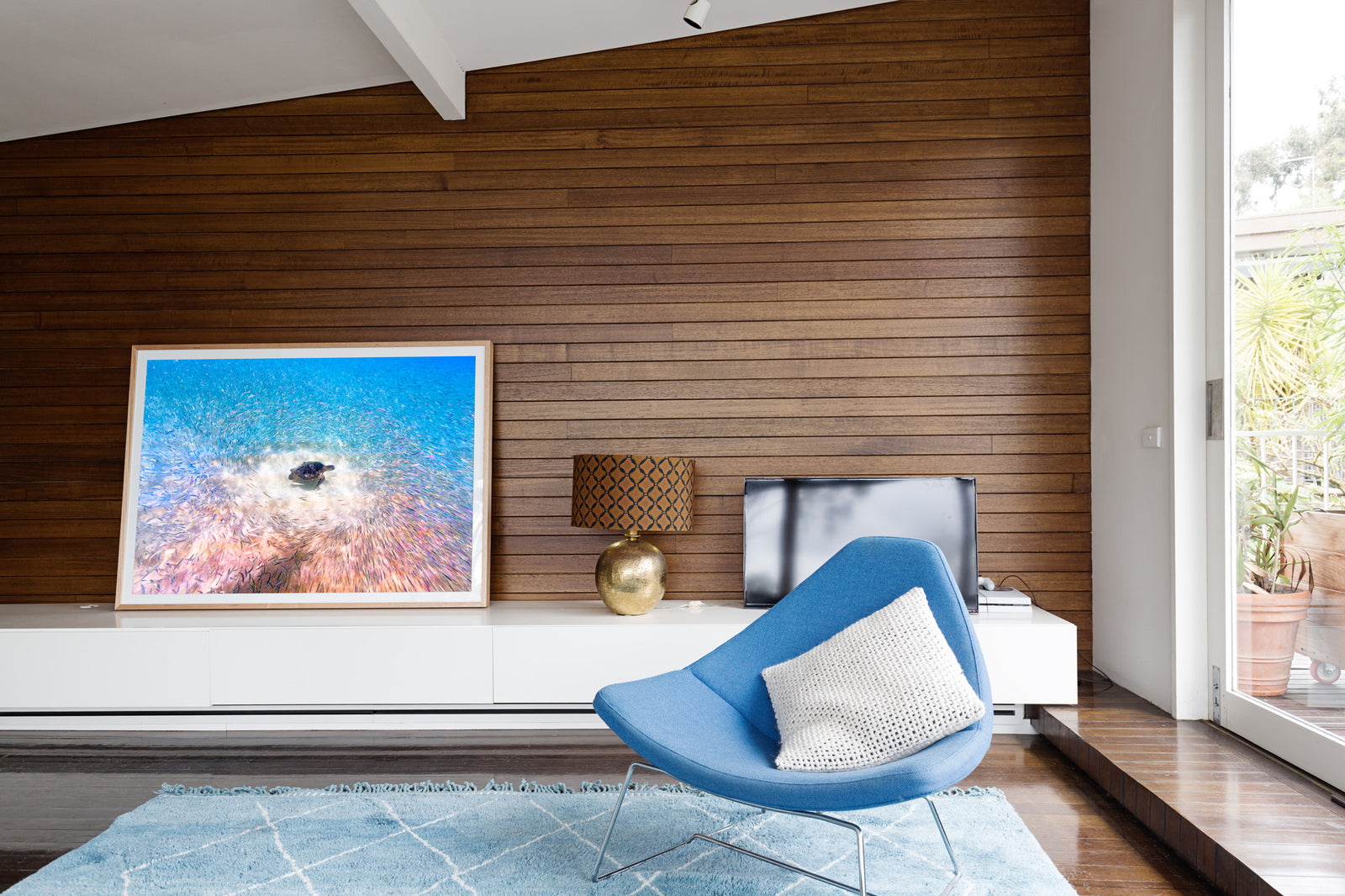 Turtle Traffic -  Waimea Bay, Oahu. Hawaii