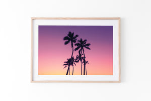 Neon Palms - Gold Coast, QLD - Australia
